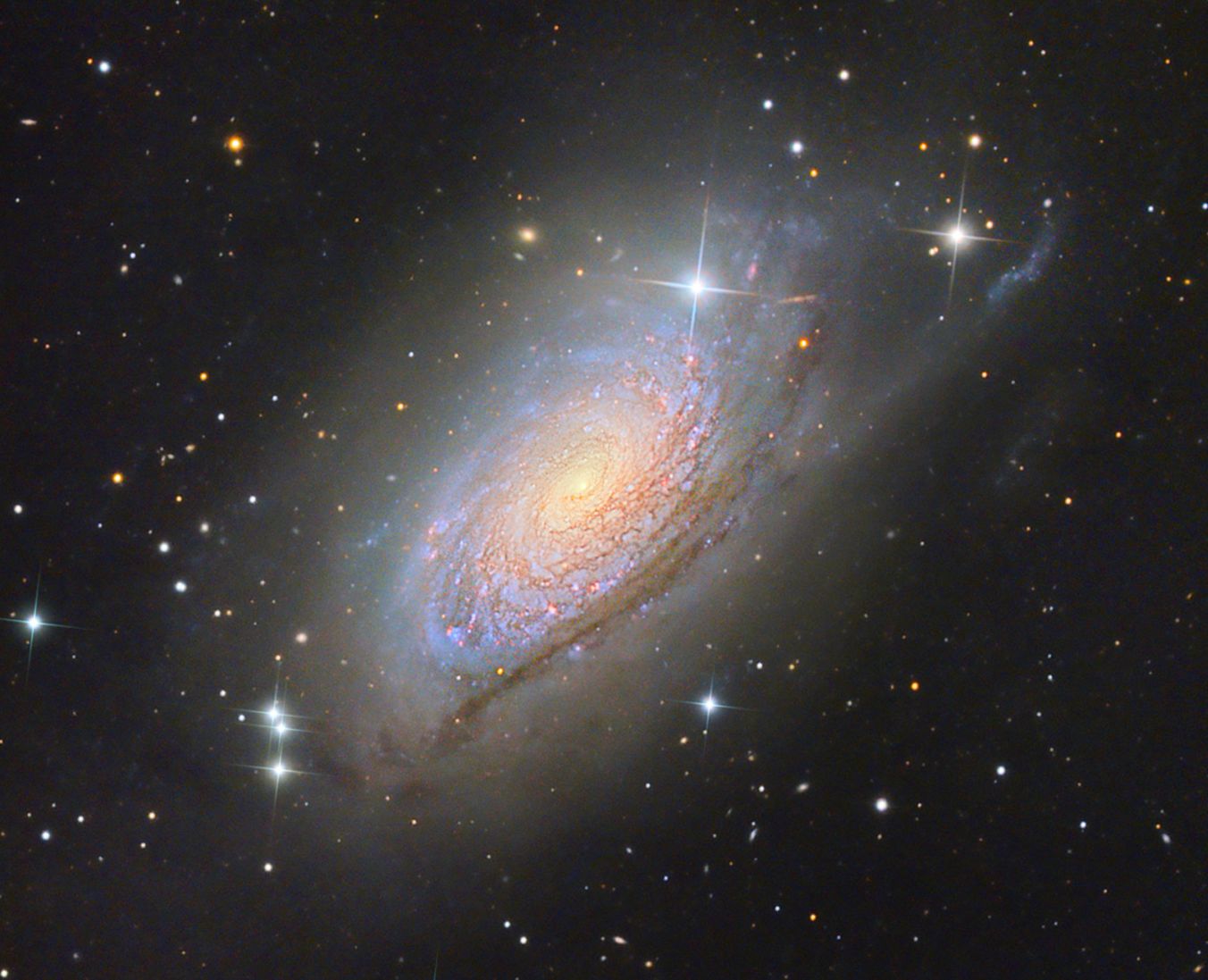 Sunflower Galaxy M63 with Prominent Stellar Halo
